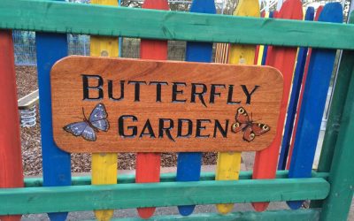 Butterfly Playground Opening