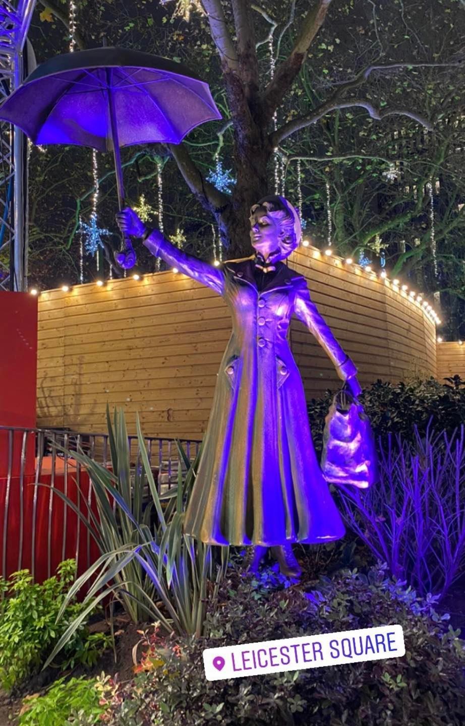 Still Flying Free – Our Beautiful Butterfly Sophie.