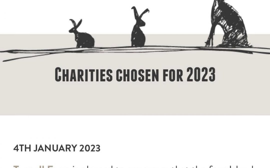 Feeling the Love 💕